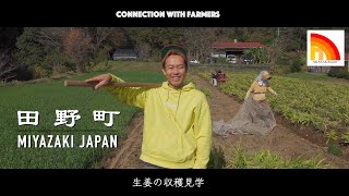 日本の農家【自然栽培】AKASAKA farm 宮崎県田野町