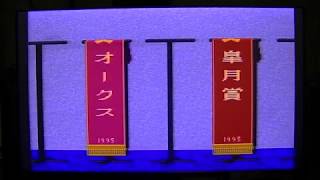 ダビスタ3    4才で  天皇賞・秋   制覇、G1   通算40勝目