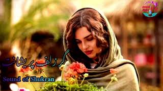 آهنگ احمد ظاهر گرزلف پریشانت دردست صبا افتد به صدای شاکر شکران New song of Shukran