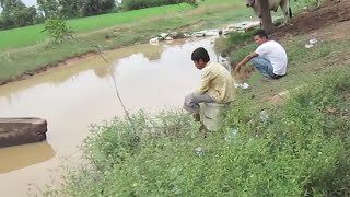 Khmer Fishing at Countryside after the break from Rice planting | Fishing Cambodia at village stream