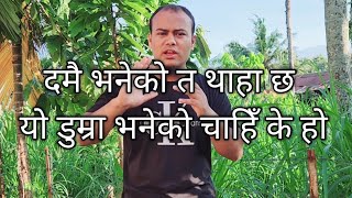 मायाले दमै भनौँ केही छैन। डुम्रा भनेको के शब्द हो कुन समाजको शब्द हो