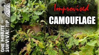 Improvised Camouflage - one minute survival tip