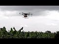 Drone Spray in Banana Farming @Bananasmartfarming  #drone #banana