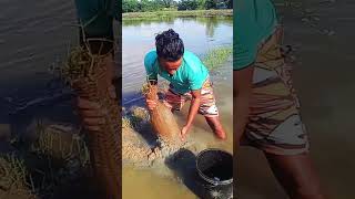 এই মাছগুলো আসলেই দেখতে অসাধারণ #foryou #fishing #bassmusic #fish #love