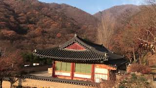 20181119韓國🇰🇷智異山燕谷寺及稷田谷溪谷 第一次韓國自由行