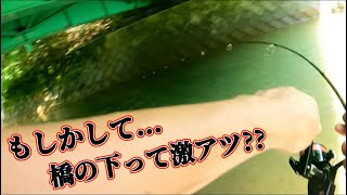 橋の下って釣れるよね...2人揃って良型釣れて気持ちぃぃ【北海道 ニジマス】