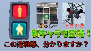 【違和感】この歩灯は何かが変です…。新キャラクターも登場！（新潟県）