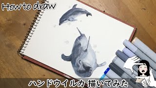 【イルカ描いてみた】甘えるイルカの赤ちゃんがかわいい・コピックペン・色鉛筆・描き方　Drawing  Bottlenose dolphins How to draw