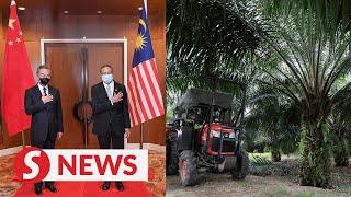 China to purchase 1.7 million tonnes of Malaysia's palm oil until 2023