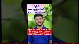 വീട്ടിലെ തെങ്ങ് കയറാനും,തെങ്ങിന്റെ സംരക്ഷണത്തിനും,സംസ്ഥാന നാളികേര വികസന ബോർഡിന്റെ നമ്പറിൽ വിളിക്കുക