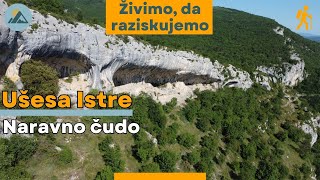 Spodmoli Veli Badin - ušesa Istre