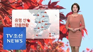 [날씨] 가을비에 찬바람 '쌀쌀'…곳곳 단풍 절정