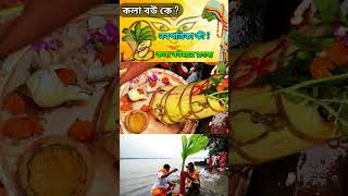 নবপত্রিকার নিয়ম | Durga puja 2024