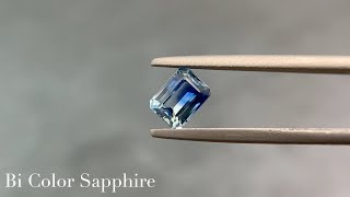 Color's YouTube Gallery IJT国際宝飾展出品　バイカラーサファイア　バイカラートルマリン　バイカラータンザナイト　Bi Color Sapphire