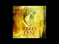 rising dust u0026 darwish ammen