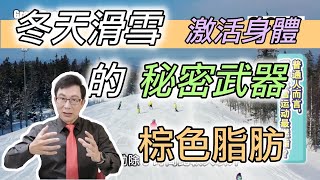 冬季滑雪燃脂之餘，激活身體的秘密武器─棕色脂肪！The secret weapon for weight loss: brown fat!