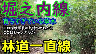 【林道一直線】　千葉　林道　堀之内線