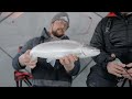 lake superior whitefish in chequamegon bay with a surprise catch