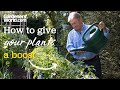 Best ways to give your PLANTS A BOOST in summer | Alan's guide to FEEDING PLANTS