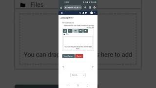How you can submit your assignments to your lms portal 👍