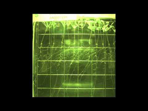 How does zero gravity affect plant growth?