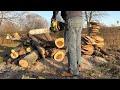 mcculloch 10 10 vs 7 10 vintage chainsaw race