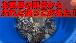 お風呂が流れない！！配管に根っこがと髪の毛が大量に！！高圧洗浄でスッキリきれい！！[drain][排水溝掃除][現場]