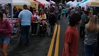 Apple festival in Ellijay Ga, Georgia's Apple Capital.