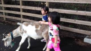 東京親子遊－上野動物園