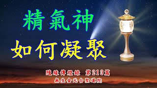 隨緣傳燈錄 第213篇 精氣神如何凝聚 113年11月23日 無生金元台聖道院 廣結善緣