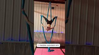 Aerial Silks - Front View Creature