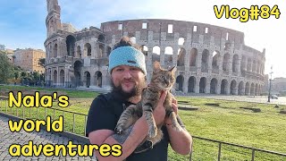 Nala exploring ROME \u0026 the VATICAN 😻🇮🇹 VLOG#84