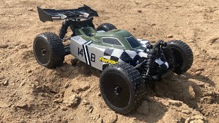 Team Associated Reflex 14B 1/14th Scale Little Buggy Beast