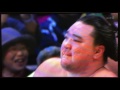 大相撲 2015年11月 九州場所 千秋楽　日馬富士 vs 稀勢の里 　（勝てば日馬富士が優勝だったが）