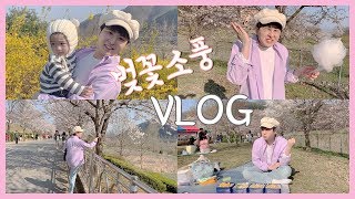 [VLOG]춘천에서 신나는 벚꽃소풍