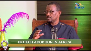 Challenges facing the adoption of biotech in Africa - Experts take | Kikao