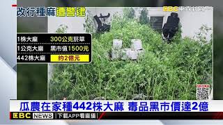 西瓜農「轉型」變製毒師 2億大麻農場藏透天厝@newsebc