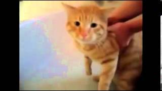 18 sikiş oyunları