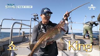 [선공개] ☆쇼 King★ 미친 크기의 대구 히트! 도시어부VS낚벤저스 에이스 맞대결 | 나만 믿고 따라와 도시어부 3 22 회