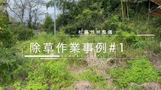 除草作業事例#1【しつこい多年草を除去します】