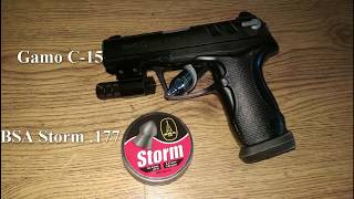 BSA Storm 177 Test Gamo C 15