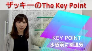 水道筋に暖湿気（解説・尾崎里奈）【ザッキーのThe Key Point(35)Team SABOTEN 気象専門STREAM.(566)】