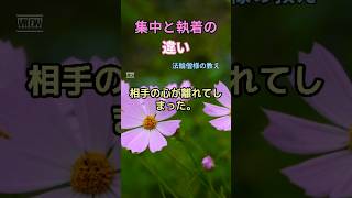 執着は苦しみの原因です。  [法輪僧様の教え]  #人生の悩み #人生の幸せ #人生の知恵 #悩み解決 #悩み