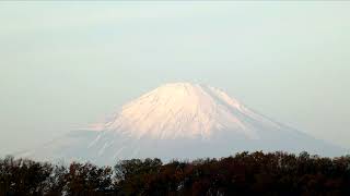 霜が降りた朝の深谷通信所跡地　　２０２２１２０４