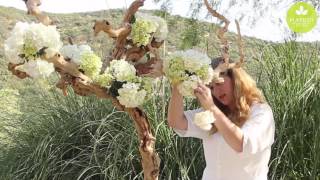 Inspired Floral Design with Beth O'Reilly: Driftwood Tree Tablescape