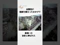 【成り立ちが既に無法地帯】本当に法律が存在しない街なのに香港1の治安を誇っていた九龍城砦の雑学