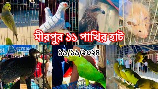 যম জমাট মীরপুর ১১ নাম্বার পাখির হাট ১১/১১/২০২৪। mirpur 11 bird market  11/11/2024