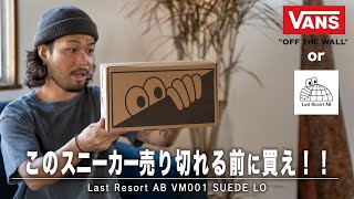 【VANSに飽きた人必見】一目惚れして即買いしたスニーカーが〇〇過ぎた！！！