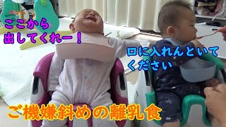 双子の離乳食の大変さを改めて感じた1日！