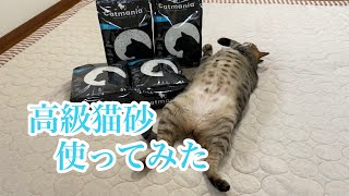 Catmaniaの高級猫砂使ってみた